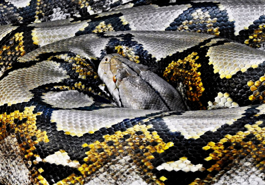  ϴ ε׽þ , 5m ܹ ° ״